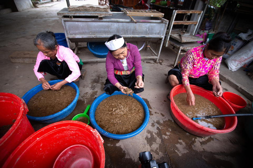 Nguyên liệu làm giấy dó là từ vỏ cây dướng. Sau khi luộc và ngâm mềm, vỏ cây dướng được nhặt sạch các cặn bẩn sau rồi vào bể nghiền thành bột để làm thành giấy dó. (Ảnh: Trọng Đạt/TTXVN)