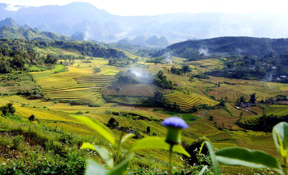 Cánh đồng lúa Tả Lèng nhìn từ trên cao. (Ảnh: Quý Trung/TTXVN)