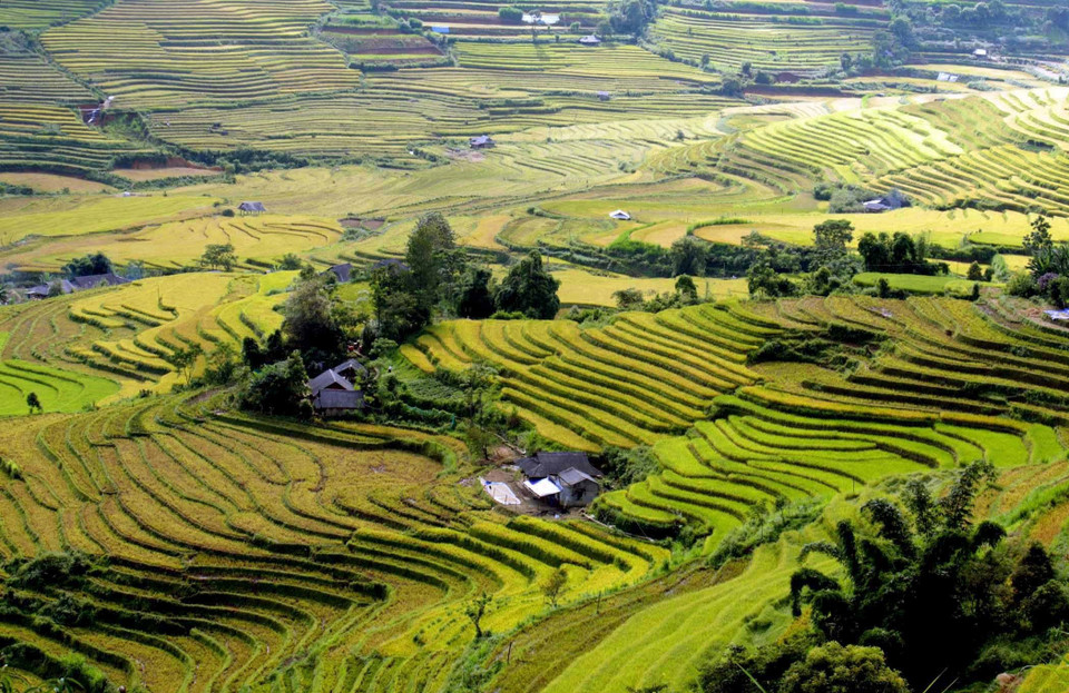 Những thửa ruộng bậc thang ở Tả Lèng thuộc xã Tả Lèng, huyện Tam Đường (Lai Châu) trùng trùng, điệp điệp như một tác phẩm nghệ thuật. (Ảnh: Quý Trung/TTXVN)