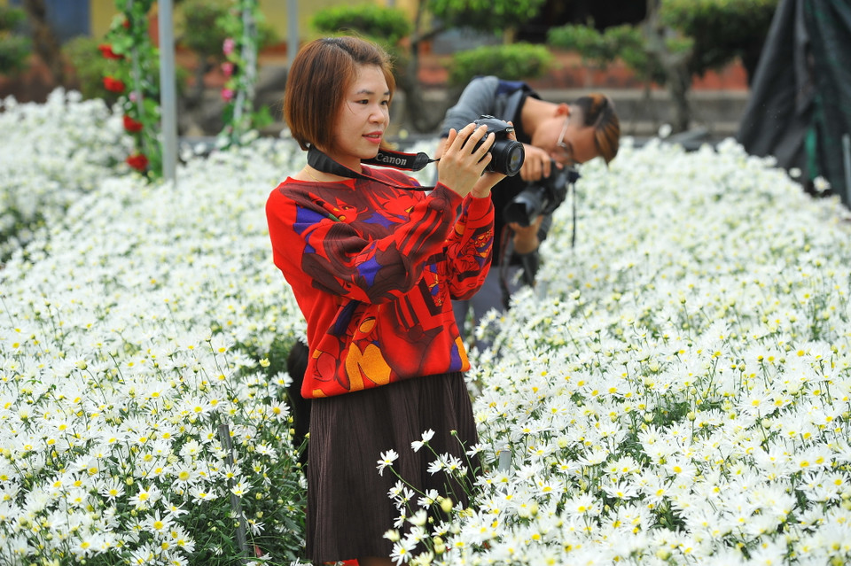 (Ảnh: Minh Đức/TTXVN)