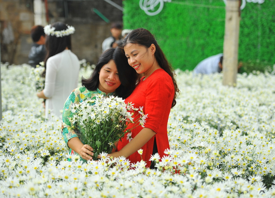 (Ảnh: Minh Đức/TTXVN)