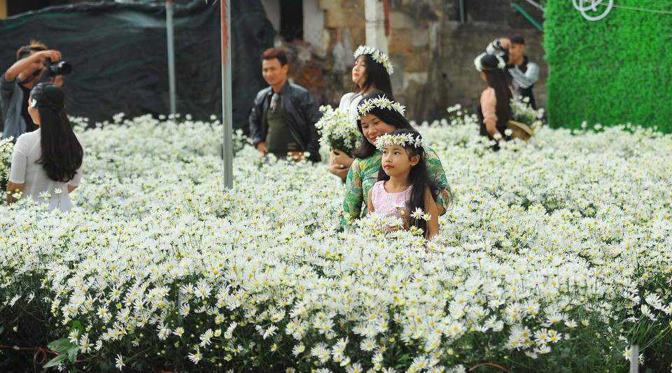 (Ảnh: Minh Đức/TTXVN)