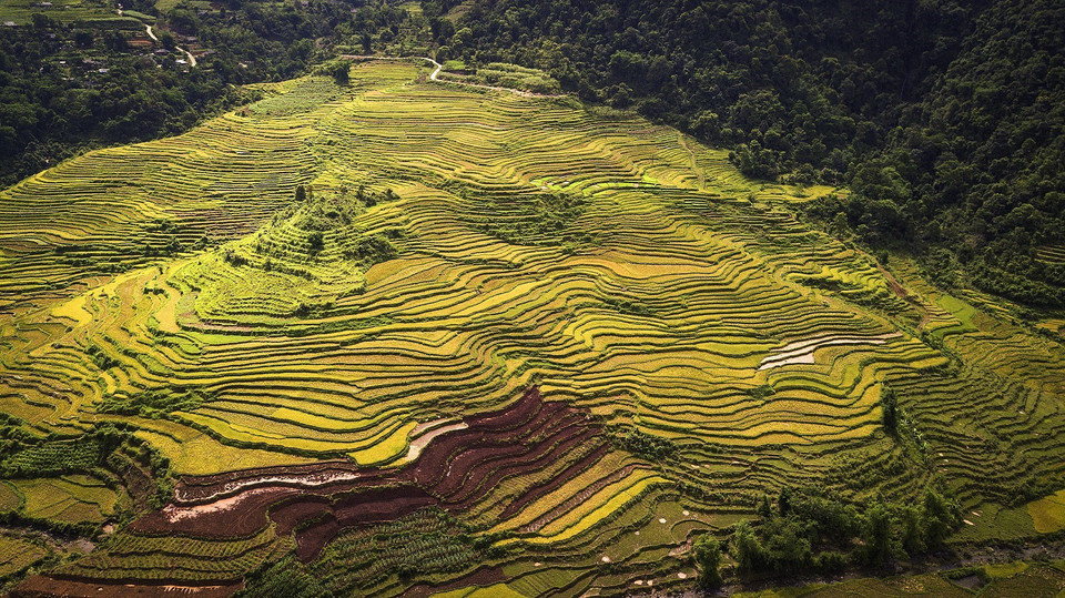 Vẻ đẹp của ruộng bậc thang tại xã Thạch Yên, huyện Cao Phong. (Ảnh: Trọng Đạt/TTXVN)
