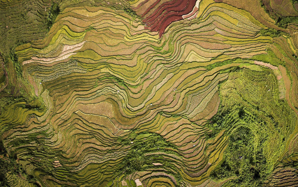 Vẻ đẹp của ruộng bậc thang xã Thạch Yên, Cao Phong nhìn từ trên cao như một bức tranh chạm khảm trên đất. (Ảnh: Trọng Đạt/TTXVN)