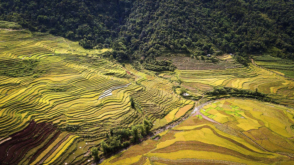 Vẻ đẹp của ruộng bậc thang tại xã Thạch Yên, huyện Cao Phong hứa hẹn sẽ là một tiềm lực lớn để cho xã Thạch Yên đặt mục tiêu thúc đẩy phát triển du lịch tại địa phương mạnh mẽ. (Ảnh: Trọng Đạt/TTXVN)