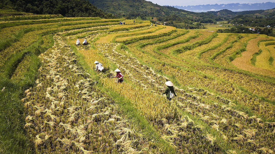 Xã Thạch Yên là xã vùng cao 135 có nhiều khó khăn của huyện Cao Phong, tỉnh Hòa Bình, có điều kiện khí hậu, đất đai phù hợp cho phát triển nông nghiệp với những cánh đồng ruộng bậc thang trải dài cùng nhiều tài nguyên khác để phát triển du lịch sinh thái, lịch sử-tâm linh và du lịch cộng đồng. (Ảnh: Trọng Đạt/TTXVN)