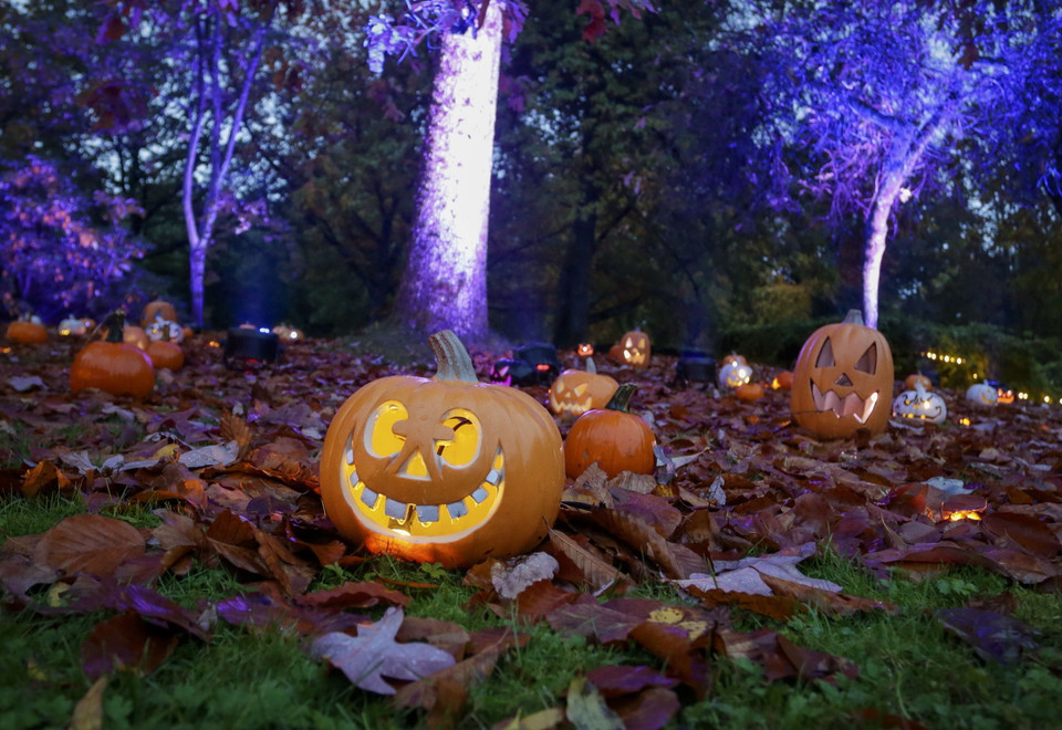 Các tác phẩm điêu khắc từ bí ngô được trưng bày tại sự kiện ''Ánh sáng trong khu vườn'' với chủ đề Halloween ở Vancouver, Canada, ngày 16/10/2019. (Ảnh: THX/TTXVN)