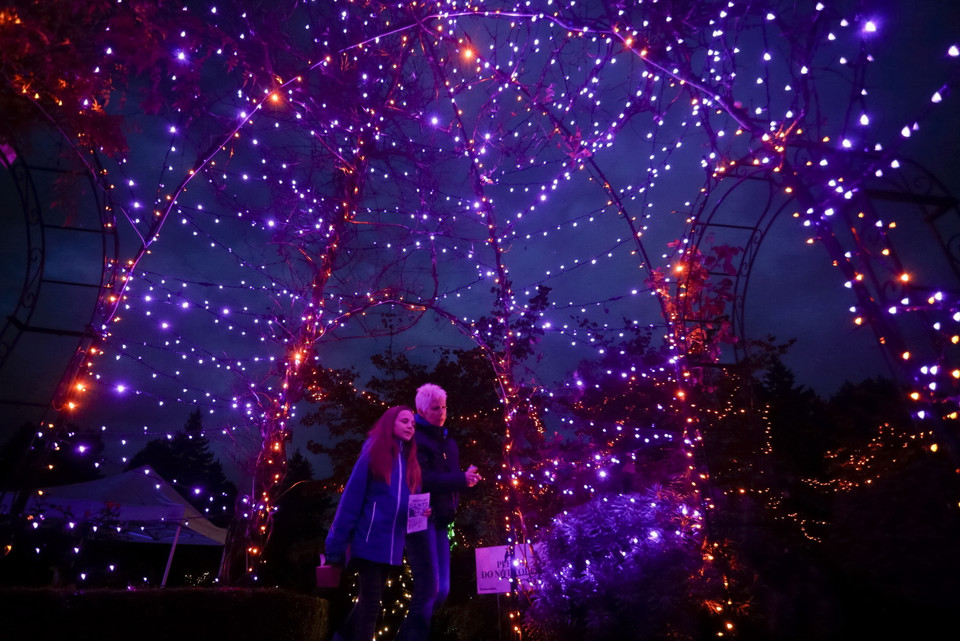 Người dân chiêm ngưỡng các tác phẩm tại sự kiện ''Ánh sáng trong khu vườn'' với chủ đề Halloween ở Vancouver, Canada, ngày 16/10/2019. (Ảnh: THX/TTXVN)