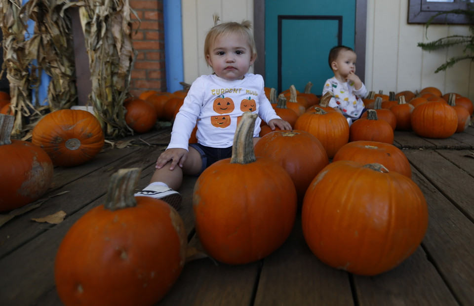 Bí ngô được trưng bày để chào đón lễ hội Halloween tại Irvine, California, Mỹ, ngày 19/10/2019. (Ảnh: THX/TTXVN)