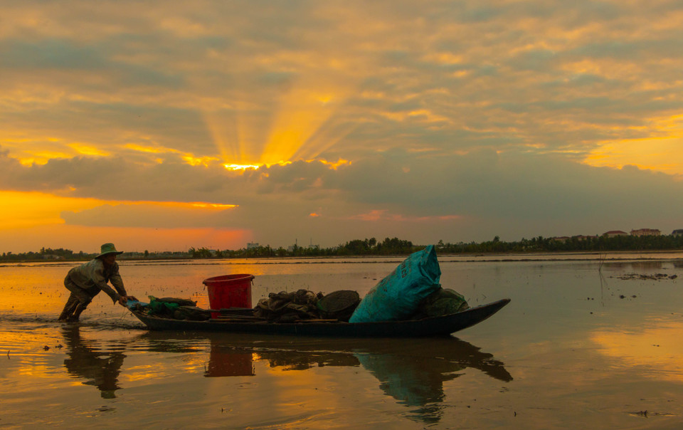 Đánh bắt cá tại cánh đồng ngập lũ cuối mùa ở huyện Vị Thủy, tỉnh Hậu Giang. (Ảnh: Duy Khương/TTXVN)