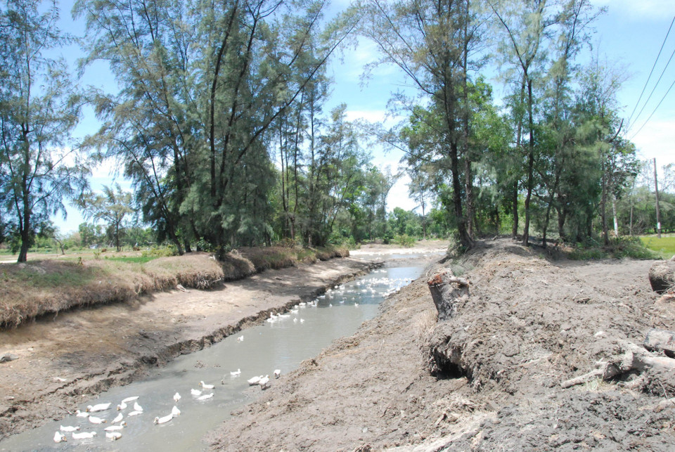 Nước tại tuyến kênh mương của trạm bơm Nhị Hạ, xã gio Thành cạn đáy. (Ảnh: Thanh Thủy/TTXVN)