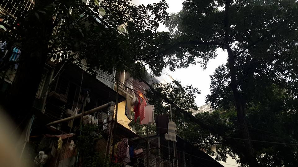 (Ảnh: Võ Phương/Vietnam+)