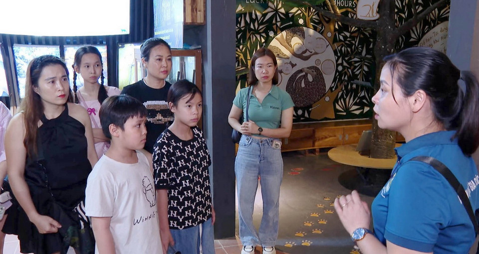  (Ảnh: Thùy Dung/TTXVN)