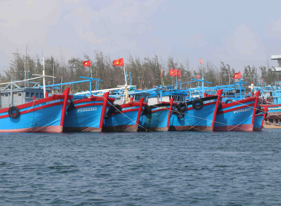 Đội tàu đánh bắt cá xa bờ của tỉnh Phú Yên. (Ảnh: Phạm Cường/TTXVN)