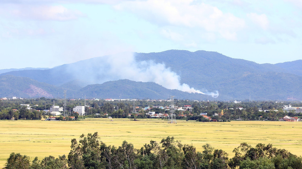 Những cánh đồng bát ngát vùng ven thành phố Tuy Hòa. (Ảnh: Huy Hùng/TTXVN)