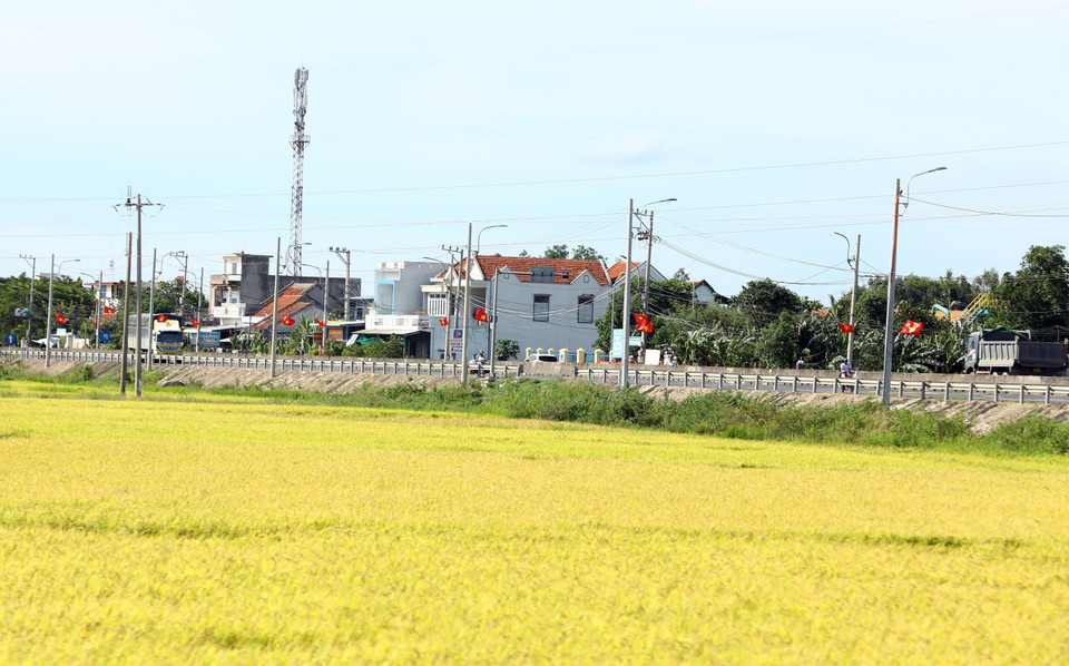 Cánh đồng lúa bát ngát dọc theo tuyến Quốc lộ 1A. (Ảnh: Huy Hùng/TTXVN)