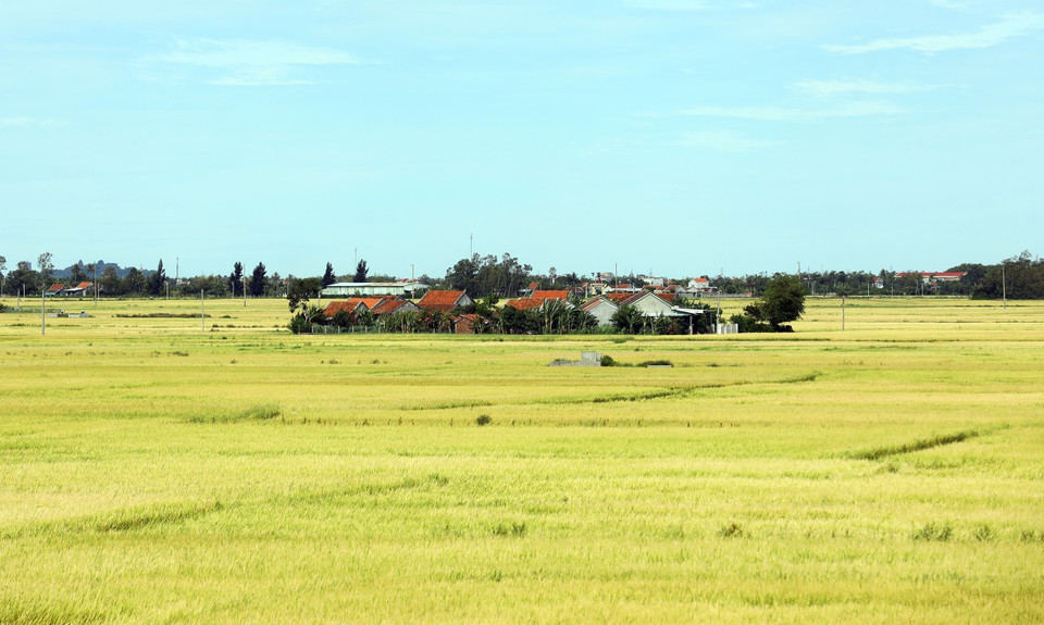 Một xóm nhỏ nằm lọt giữa cánh đồng tại huyện Tây Hòa. (Ảnh: Huy Hùng/TTXVN)