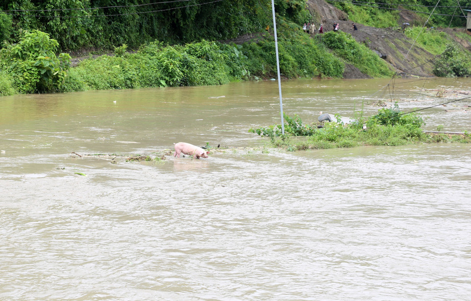 Sự cố vỡ cống D2000 hồ thải quặng đuôi, Nhà máy Tuyển đồng Tả Phời làm trôi tài sản, hoa màu của của 40 hộ dân sinh sống tại xã Tả Phời, thành phố Lào Cai. (Ảnh: Quốc Khánh/TTXVN)