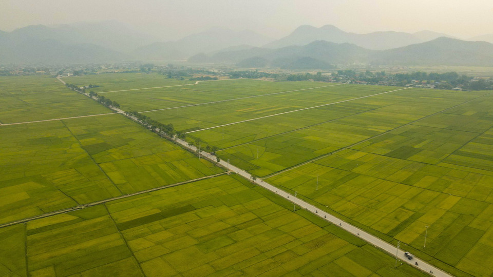 Quốc lộ 279 chạy giữa cánh đồng Mường Thanh. (Ảnh: Xuân Tư/TTXVN)