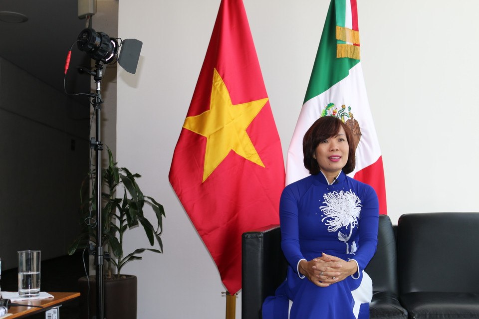 Đại sứ Lê Linh Lan trả lời phỏng vấn kênh truyền hình Quốc hội Liên bang Mexico. (Ảnh: Việt Hòa/Vietnam+)