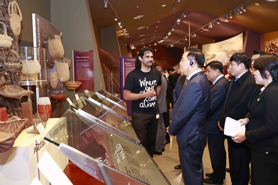 (Ảnh: Doãn Tấn/TTXVN)