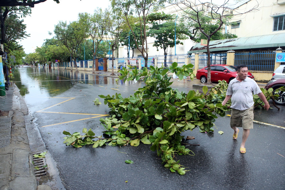 Tại thành phố Đà Nẵng, bão số 5 đã gây mưa lớn kèm theo sấm chớp, gió mạnh. Người dân đưa các cành cây chắn các khu vực bị ngập nước trên đường Hà Huy Tập, Đà Nẵng, để các phương tiện giao thông không đi vào khu bị ngập. (Ảnh: Trần Lê Lâm/TTXVN)