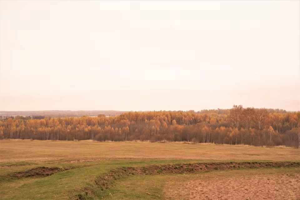 Bảo tàng - Khu bảo tồn “Cánh đồng Borodino” có diện tích 110km2 với hơn 200 di tích cũng như điểm di tích. Đây là bảo tàng lâu đời nhất trên thế giới được tạo ra trên các chiến trường để tưởng niệm hai cuộc Chiến tranh Vệ quốc của nước Nga. (Ảnh: Duy Trinh/TTXVN)