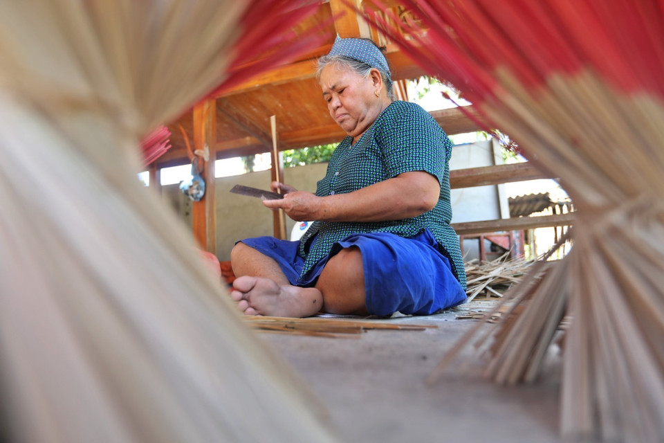 Cây Mai được xẻ thành từng đốt, chẻ ra và ngâm xuống nước từ 1 đến 2 tháng rồi mang lên làm chân hương. (Ảnh: Minh Quyết/TTXVN)