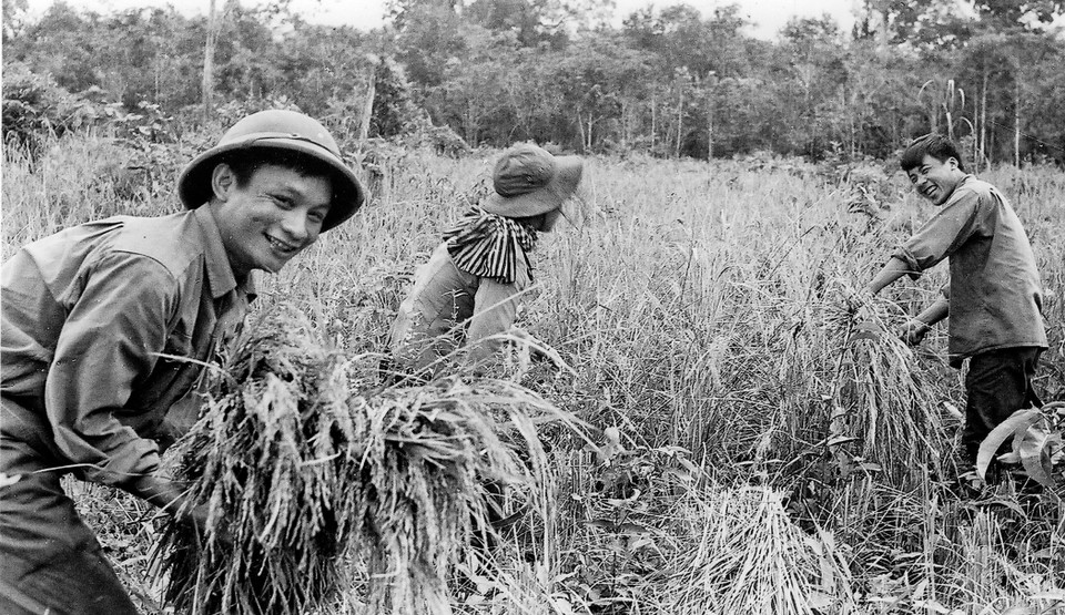 Phóng viên Thông tấn xã Giải phóng tăng gia sản xuất ở rừng Tân Biên, Tây Ninh. (Ảnh: Thông tấn xã Giải phóng)