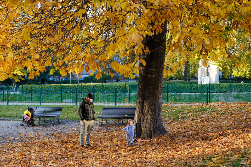 Trẻ em chơi đùa với lá rụng trong công viên ở Brussels, Bỉ. (Ảnh: THX/TTXVN)