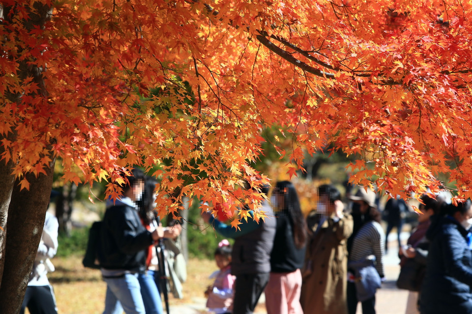 Du khách thăm Núi Seorak, tỉnh Gangwon, Hàn Quốc. (Ảnh: Yonhap/TTXVN)