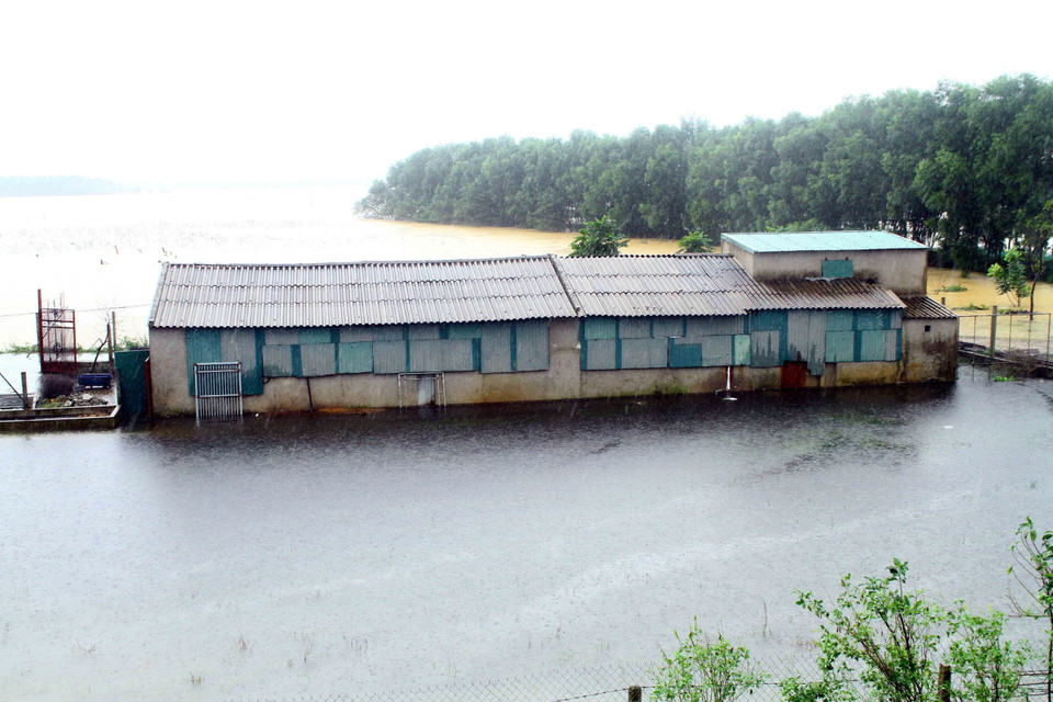 Nhiều nhà dân ngoài đê sông Lam tại huyện Hưng Nguyên (Nghệ An) bị ngập nặng do nước sông Lam đang lên cao trên mức báo động 2. (Ảnh: Tá Chuyên/TTXVN)