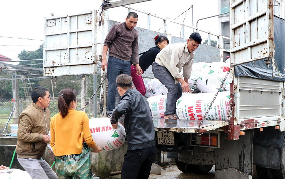 Hàng tấn cá chép đỏ phục vụ ông Công, ông Táo đã sẵn sàng lên đường. (Ảnh Tạ Toàn/TTXVN)