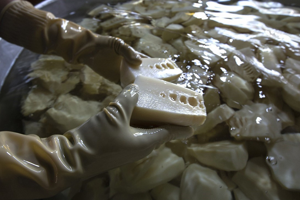 Công ty cổ phần Kim Bôi (Hòa Bình) xuất khẩu 28 tấn măng tươi đã qua chế biến sang Hà Lan, ngày 2/12/2021. (Ảnh: Trọng Đạt/TTXVN)