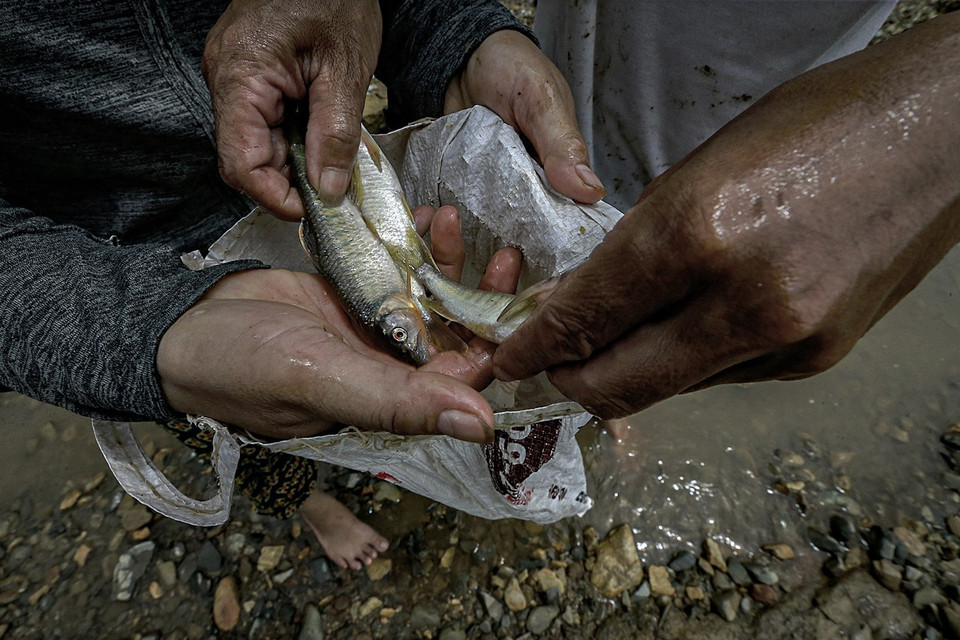 Người dân nơi đây tìm bắt những con cá suối nhỏ ngay trên vùng lòng hồ cạn nước đoạn qua xã Vầy Nưa, huyện Đà Bắc. (Ảnh: Trọng Đạt/TTXVN)