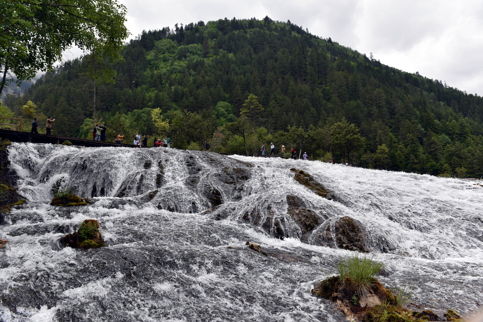 (Ảnh: Tiến Trung-Thành Dương/Vietnam+)