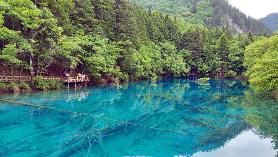 (Ảnh: Tiến Trung-Thành Dương/Vietnam+)