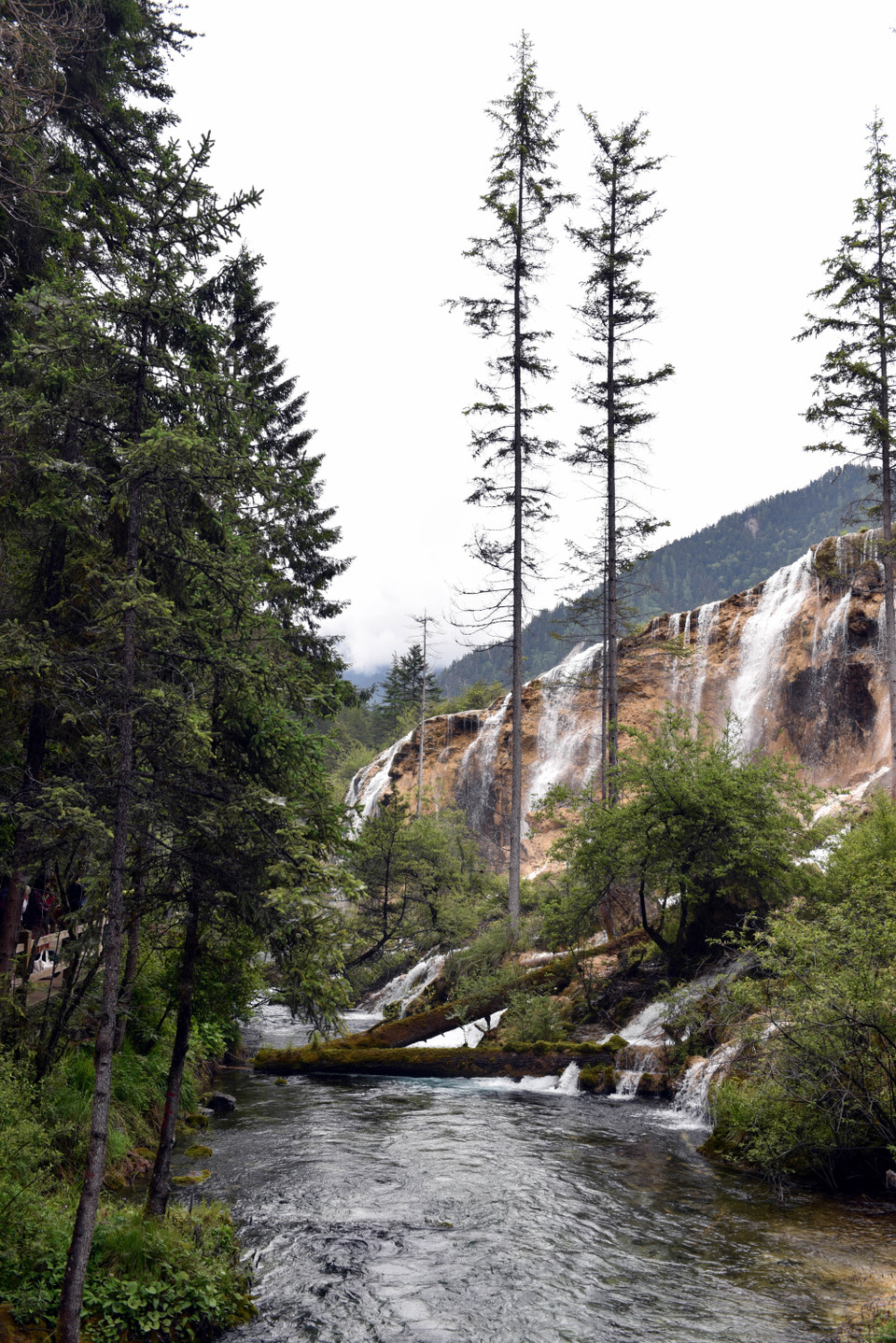 Mỗi mùa ở Cửu Trại Câu đều là một bức tranh đẹp rực rỡ đến choáng ngợp. Chính vì vậy du khách có thể đến thăm vùng đất thần tiên này quanh năm mà không sợ bỏ lỡ những khoảnh khắc tuyệt diệu nhất của tự nhiên. (Ảnh: Tiến Trung-Thành Dương/Vietnam+)