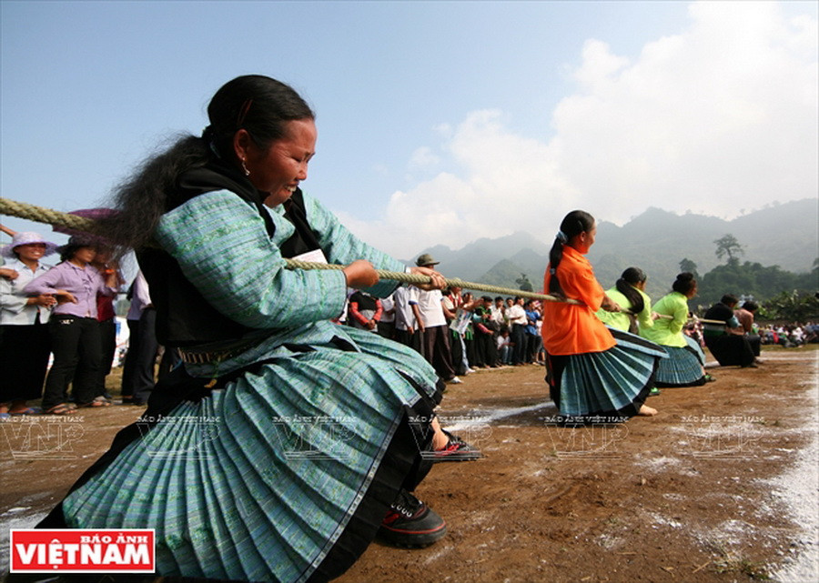 Trận kéo co của người dân tộc Mông xanh ở xã Loóng Luông (huyện Vân Hồ, Sơn La) diễn ra trong ngày Tết Độc lập được tổ chức ở Cao nguyên Mộc Châu vào ngày 2/9 hằng năm. 