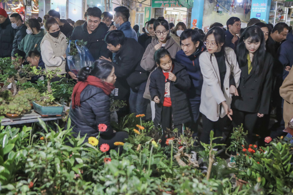 Các loại cây hoa, cây giống tại chợ Viềng thu hút rất đông lượng khách tới mua. (Ảnh: Công Luật/TTXVN)