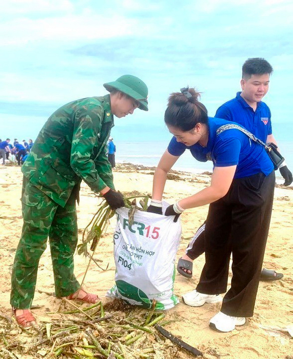 Thu gom rác thải tại bãi biển Nhật Lệ, thành phố Đồng Hới, tỉnh Quảng Bình. (Ảnh: TTXVN phát)