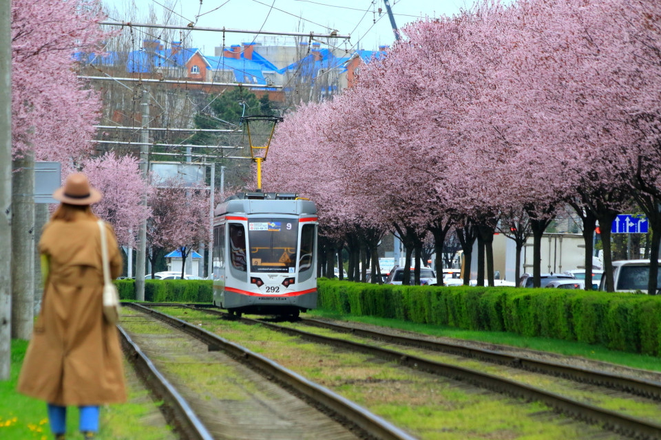 Mùa hoa nở tô điểm cho cảnh vật ở miền Nam nước Nga. (Ảnh: Trần Hiếu/TTXVN)