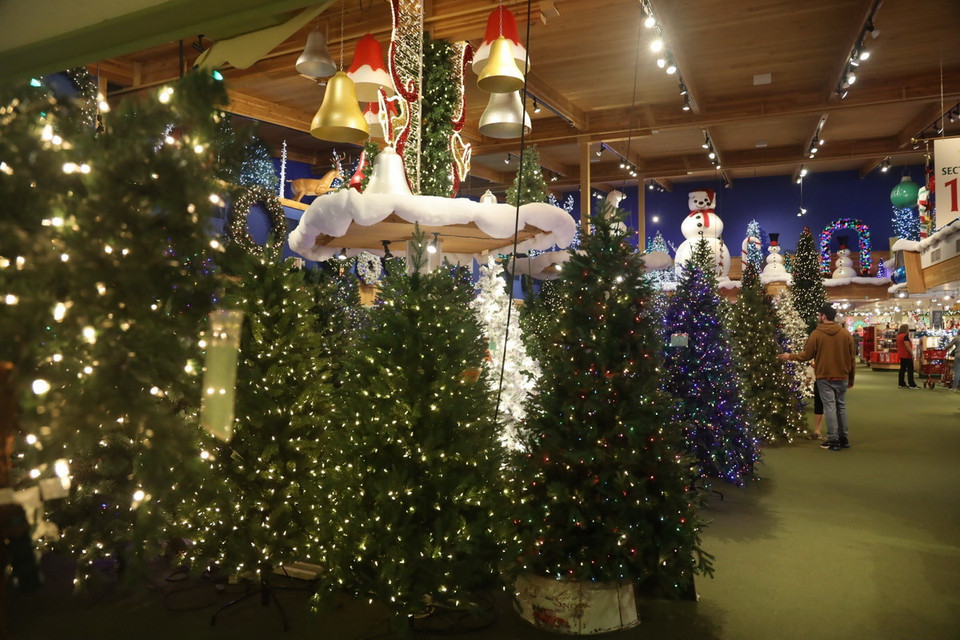 Cây thông Noel được bày bán tại Frankenmuth, Michigan, Mỹ. (Ảnh: THX/TTXVN)