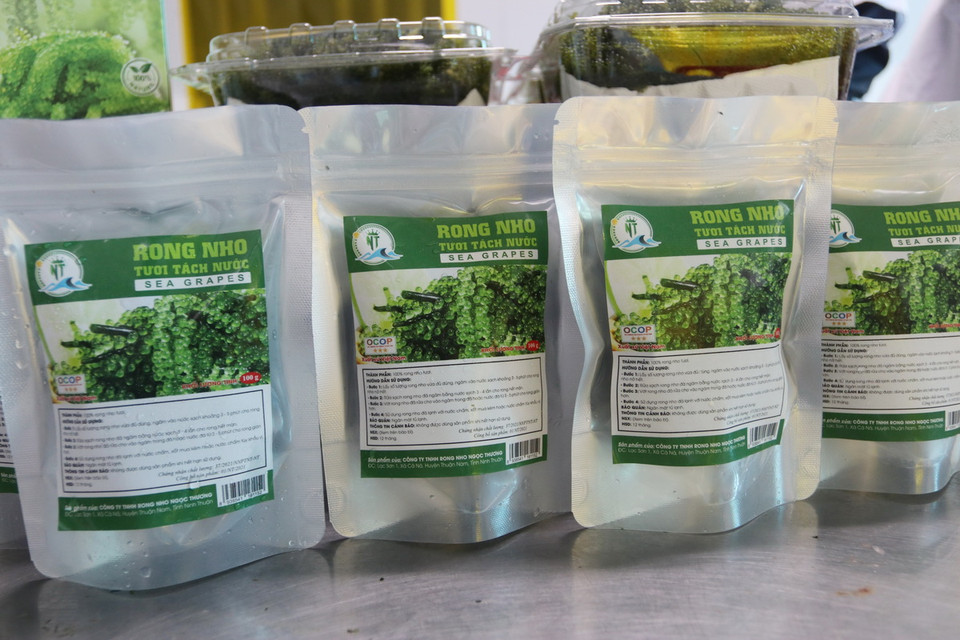 Sản phẩm rong nho của Công ty TNHH rong nho Ngọc Thương (xã Cà Ná, huyện Thuận Nam). (Ảnh: Nguyễn Thành/TTXVN)