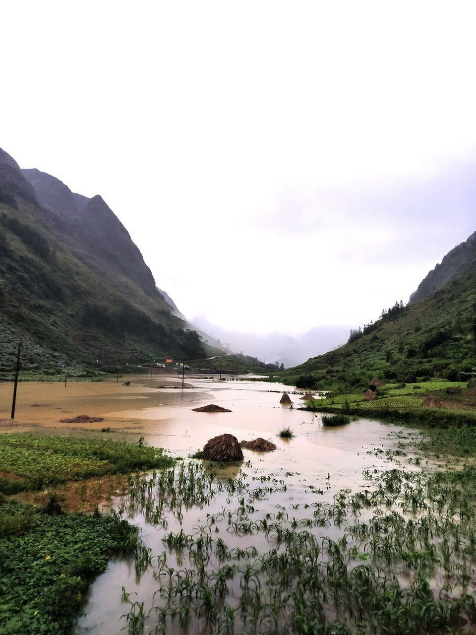Mưa lũ lớn trong nhiều giờ gây ngập úng nhiều diện tích hoa màu của làng dân tộc Mông xã Pả Vi, huyện Mèo Vạc (Hà Giang). (Ảnh: TTXVN phát)