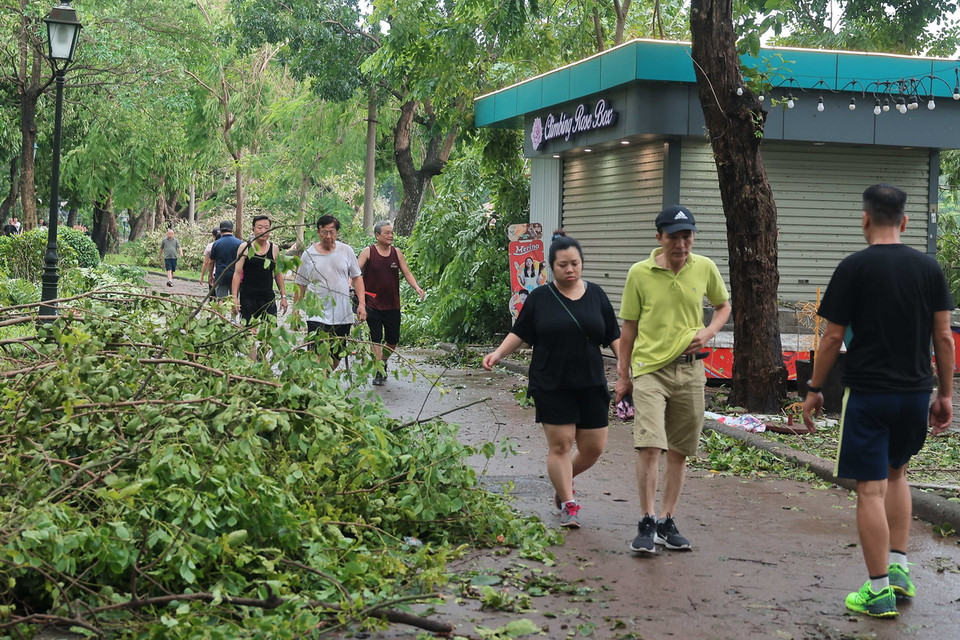 Công viên Thống Nhất xác xơ sau bão số 3. (Ảnh: Hoàng Hiếu/TTXVN)