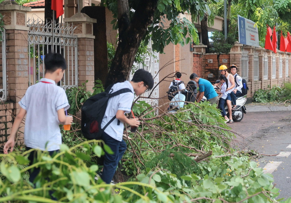 7h sáng, nhiều học sinh Trường THCS Tô Hoàng (quận Hai Bà Trưng) đi học giữa "rừng" cây gãy, đổ. (Ảnh: Hoàng Hiếu/TTXVN)
