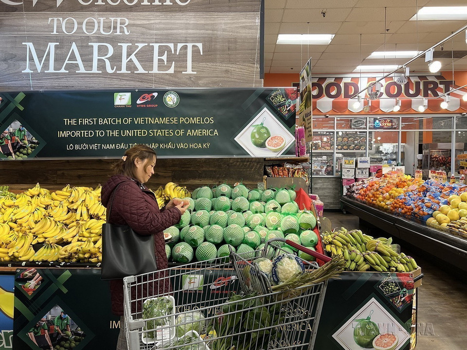 Bưởi da xanh Bến Tre của Việt Nam đã có mặt tại siêu thị ở Hoa Kỳ (3/12/2022). (Ảnh: TTXVN)