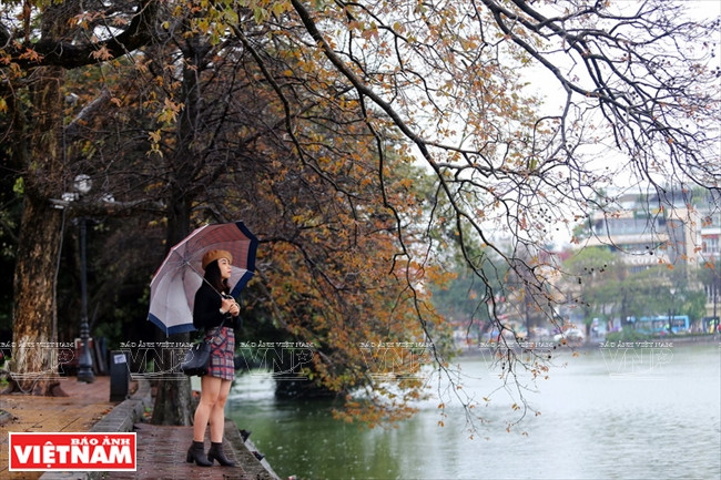 Vạn vật trở nên dịu dàng, lãng mạn dưới cơn mưa chuyển mùa.