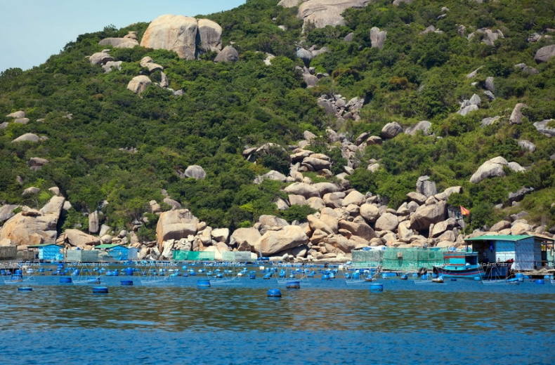 Những mỏm đá, ngọn đồi như bức bình phong che chắn cho mặt nước vịnh Cam Ranh là điều kiện thuận lợi cho nghề nuôi tôm hùm.